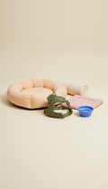 Pet Travel Accessory